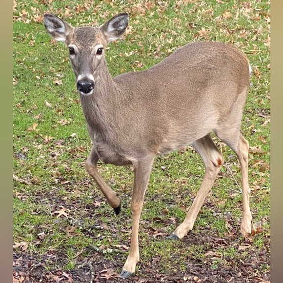 Meet your Posher, Amy - Picture 13 of 16